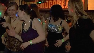 hardcore blowjob fest amatør orgie