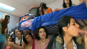 puling fest