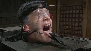 Elise tries to scream for help, but the word can't be made out because of the clamps around her mouth and tongue. He master turns up the power on the electrodes attached to her face and pussy and she nearly passes out.