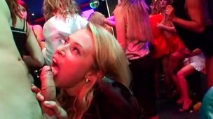 Extravagant ladies having the most good sexual fuckfest of their careers