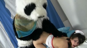 Cute fuzzy panda and a teen nurse have avid sex