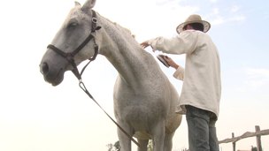 Countryside angel manages to perform a cowgirl ride with her anus